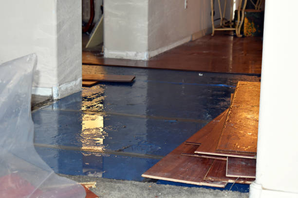 Professional Basement Water Removal technician working in Rockville Centre, NY
